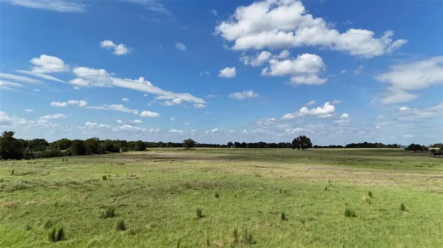 a view of a field with trees in the background