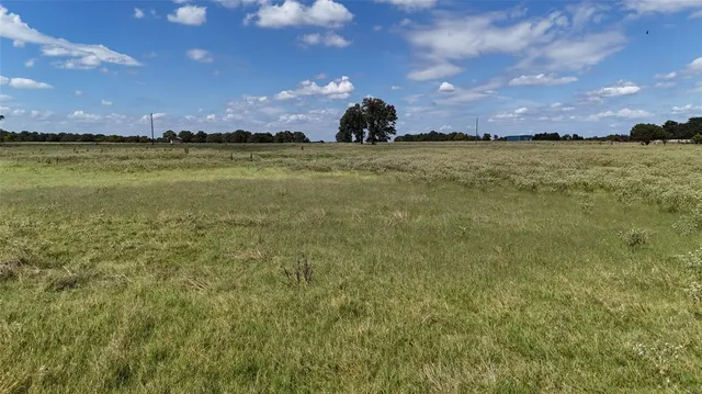 a view of a field with trees in the background