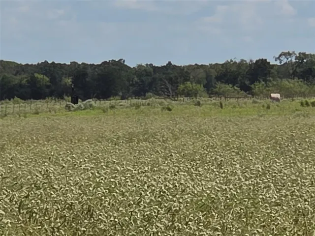 $300,000 | 3150 Southeast Corsicana Tx 75109, Corsicana, TX 75109