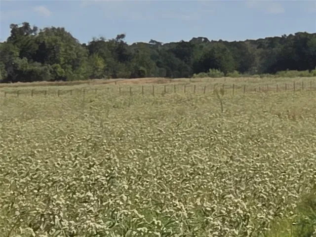 $300,000 | 3150 Southeast Corsicana Tx 75109, Corsicana, TX 75109