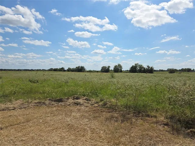 a view of a lake in middle of the forest
