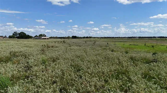 a view of lake and mountain from a yard