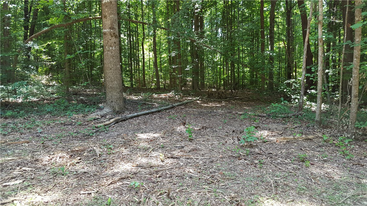 50 Dr Johns Road Westminster, SC 29693 - Photo 5 of 12 Gallery Image 5