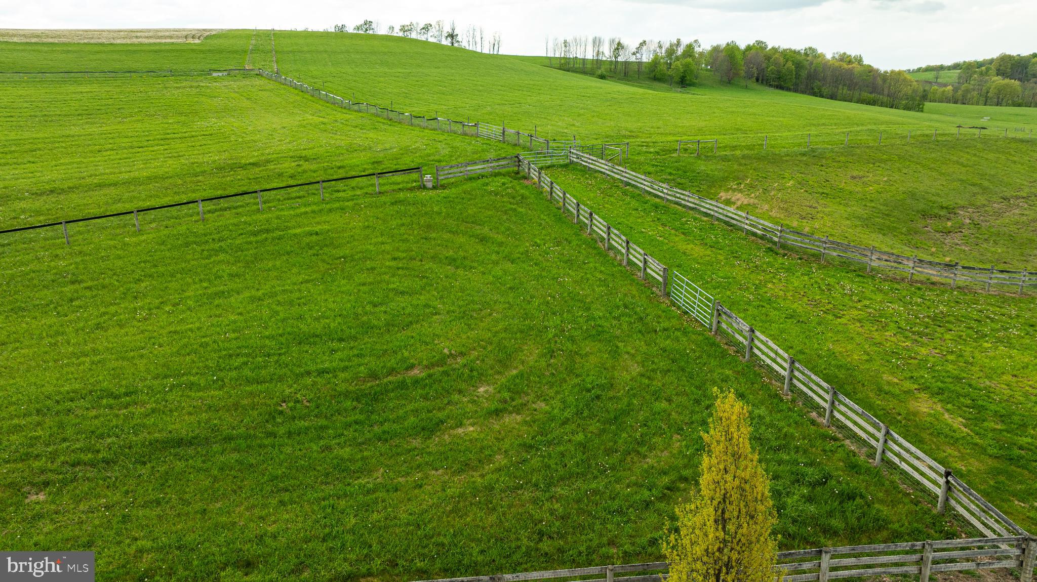 3287 Maynardier Ridge Road Grantsville, MD 21536 - Photo 104 of 120 Gallery Image 104
