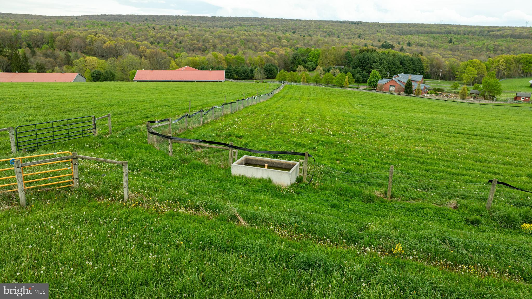 3287 Maynardier Ridge Road Grantsville, MD 21536 - Photo 114 of 120 Gallery Image 114
