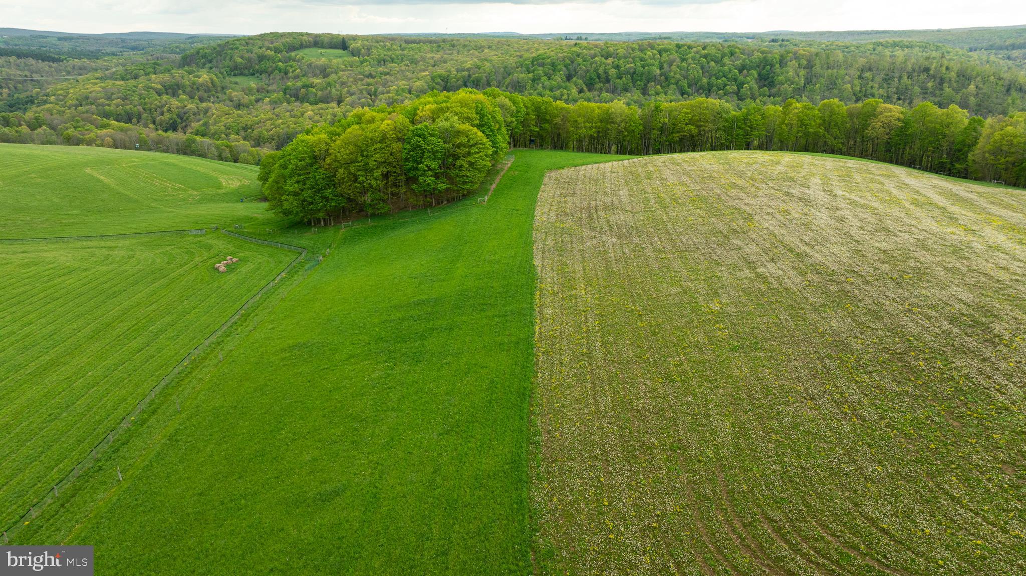3287 Maynardier Ridge Road Grantsville, MD 21536 - Photo 117 of 120 Gallery Image 117