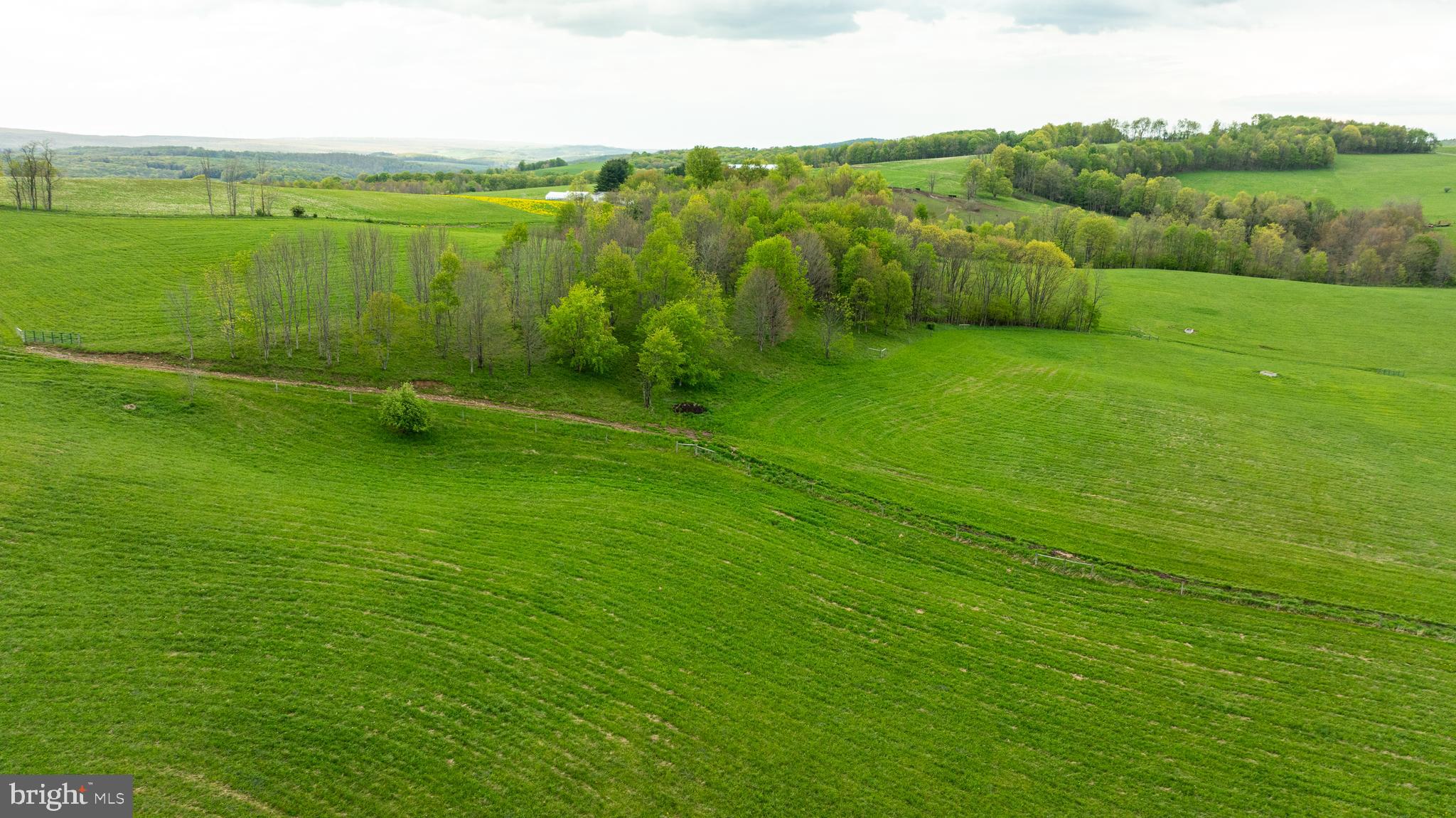 3287 Maynardier Ridge Road Grantsville, MD 21536 - Photo 120 of 120 Gallery Image 120
