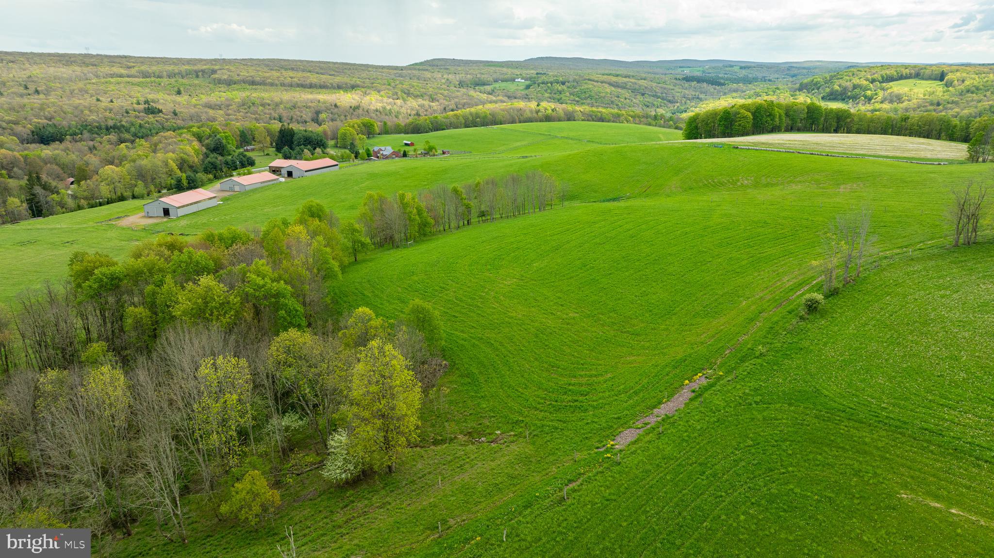 3287 Maynardier Ridge Road Grantsville, MD 21536 - Photo 75 of 120 Gallery Image 75