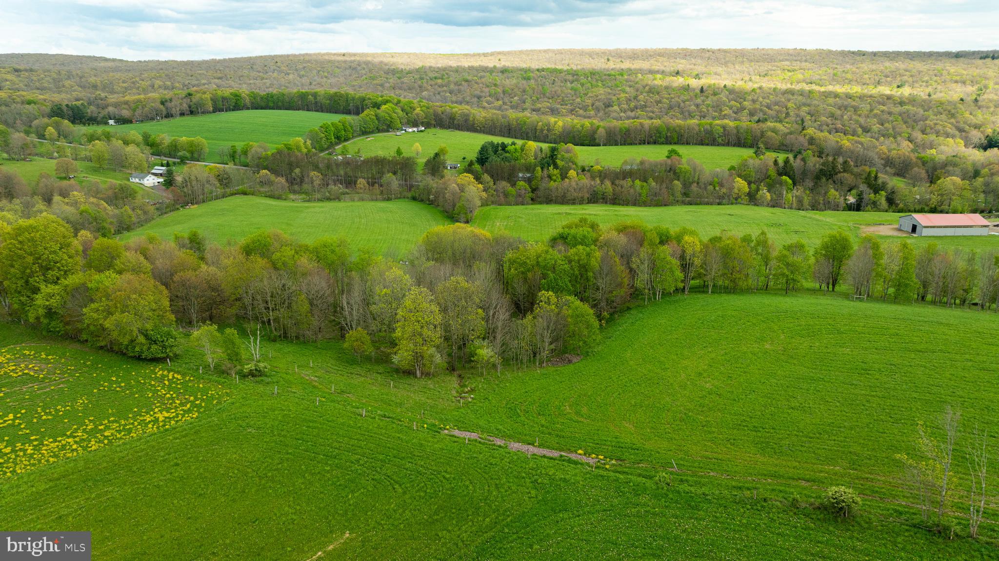 3287 Maynardier Ridge Road Grantsville, MD 21536 - Photo 79 of 120 Gallery Image 79