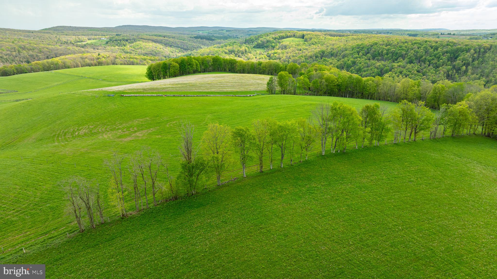 3287 Maynardier Ridge Road Grantsville, MD 21536 - Photo 80 of 120 Gallery Image 80
