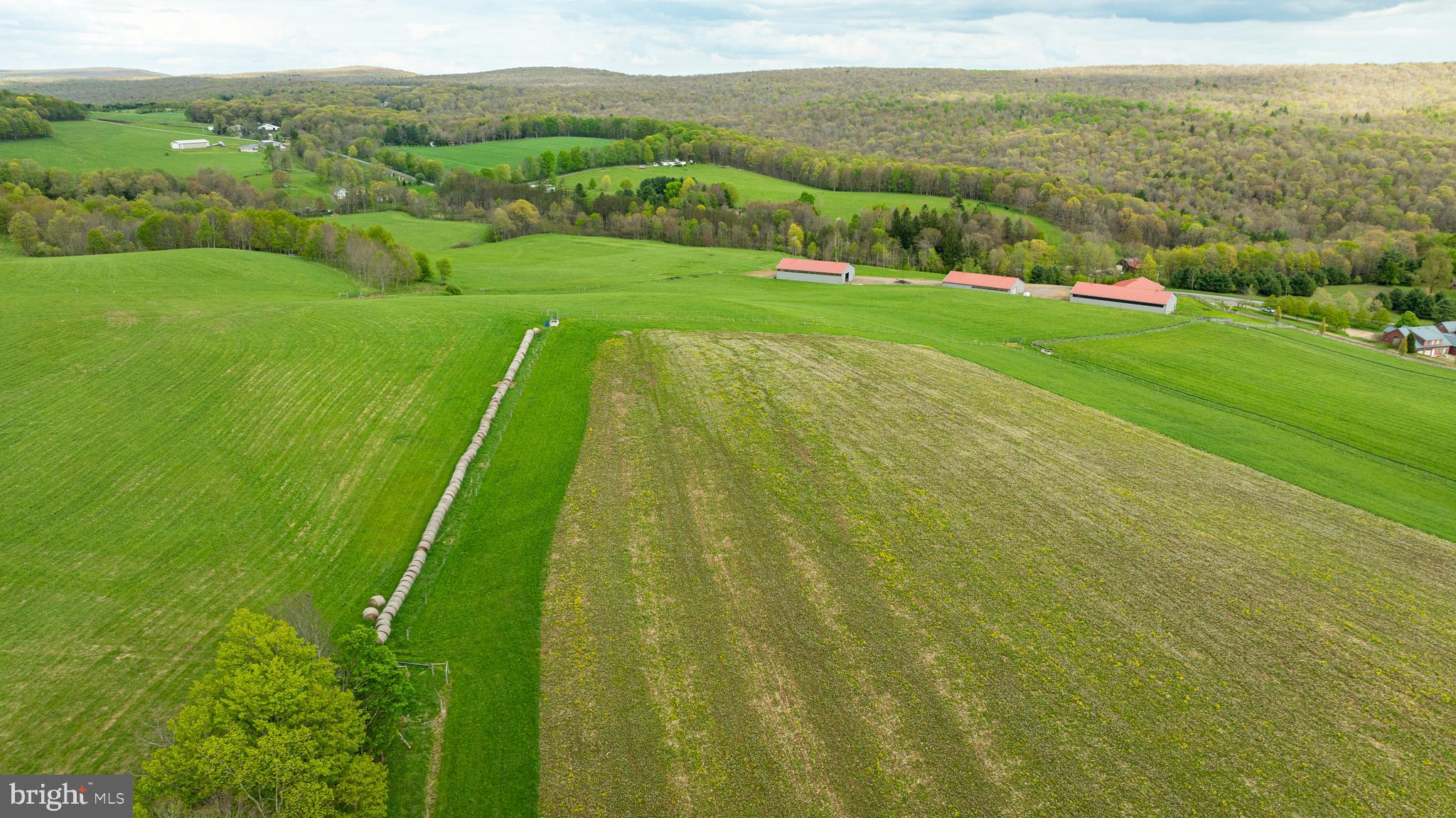 3287 Maynardier Ridge Road Grantsville, MD 21536 - Photo 81 of 120 Gallery Image 81