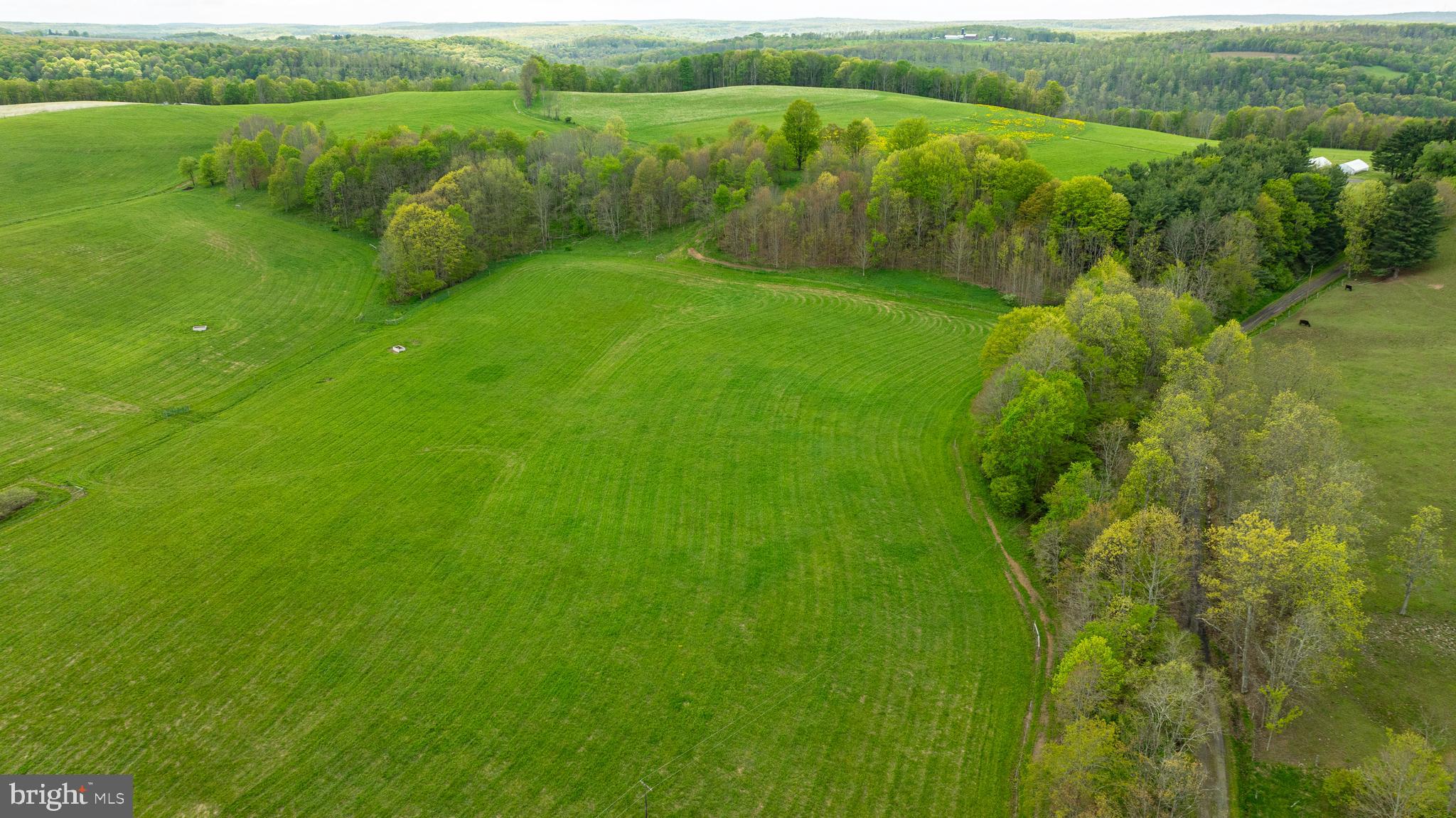 3287 Maynardier Ridge Road Grantsville, MD 21536 - Photo 83 of 120 Gallery Image 83