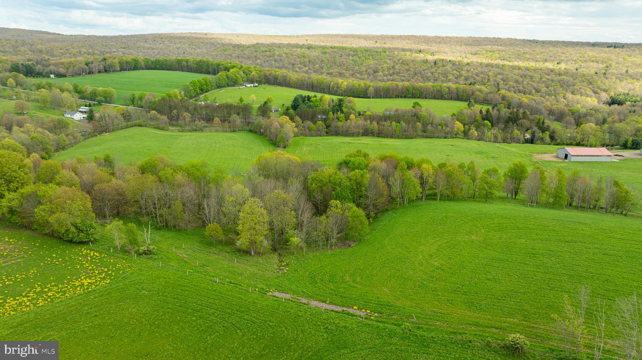 3287 Maynardier Ridge Road Grantsville, MD 21536 - Photo 85 of 120 Gallery Image 85