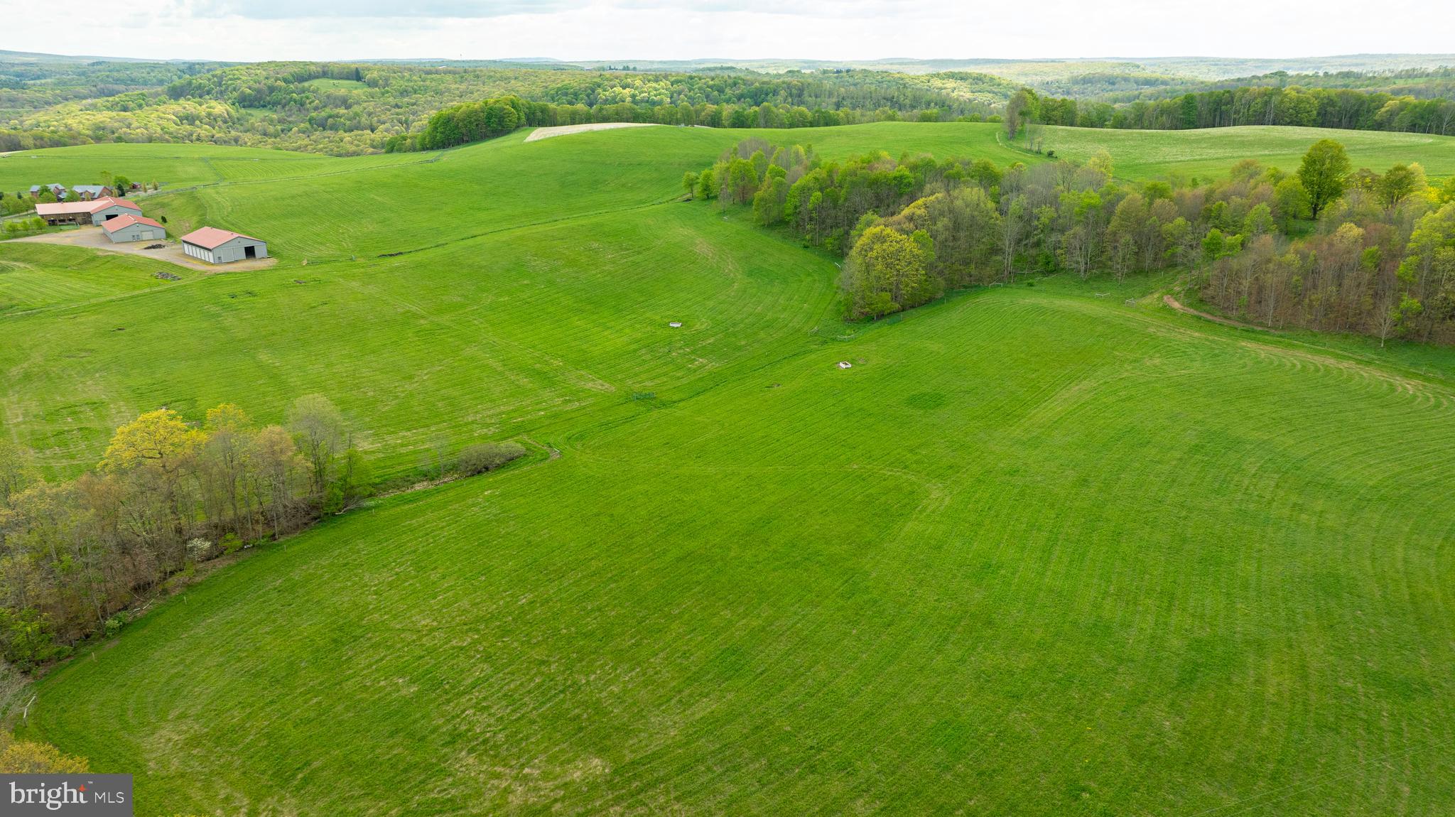 3287 Maynardier Ridge Road Grantsville, MD 21536 - Photo 86 of 120 Gallery Image 86