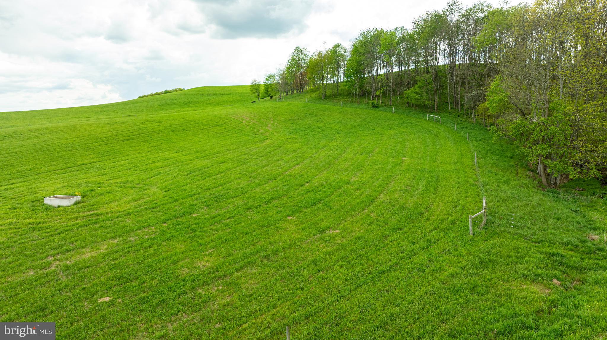 3287 Maynardier Ridge Road Grantsville, MD 21536 - Photo 88 of 120 Gallery Image 88