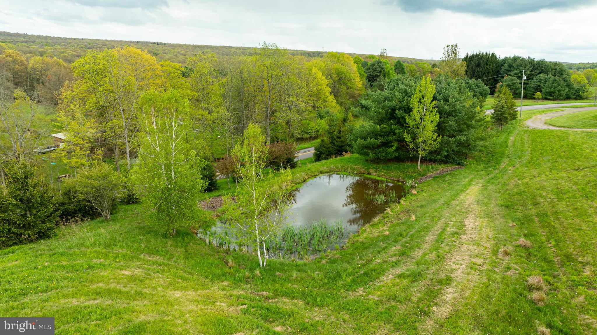 3287 Maynardier Ridge Road Grantsville, MD 21536 - Photo 89 of 120 Gallery Image 89