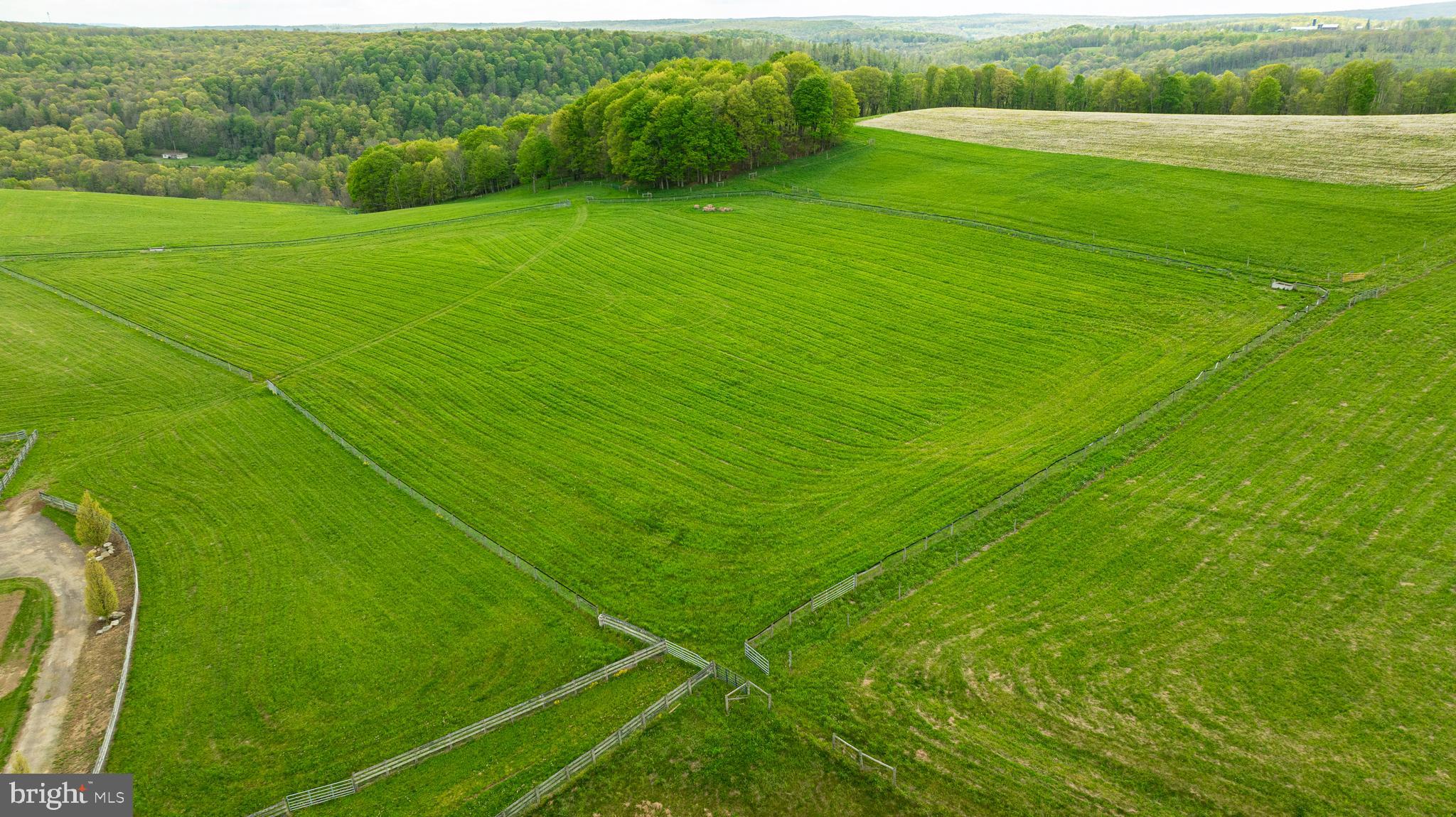 3287 Maynardier Ridge Road Grantsville, MD 21536 - Photo 95 of 120 Gallery Image 95