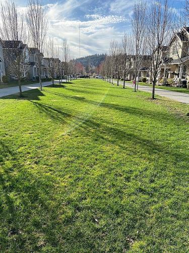 2344 Southeast 16th Alley Gresham, OR 97080 - Photo 23 of 31