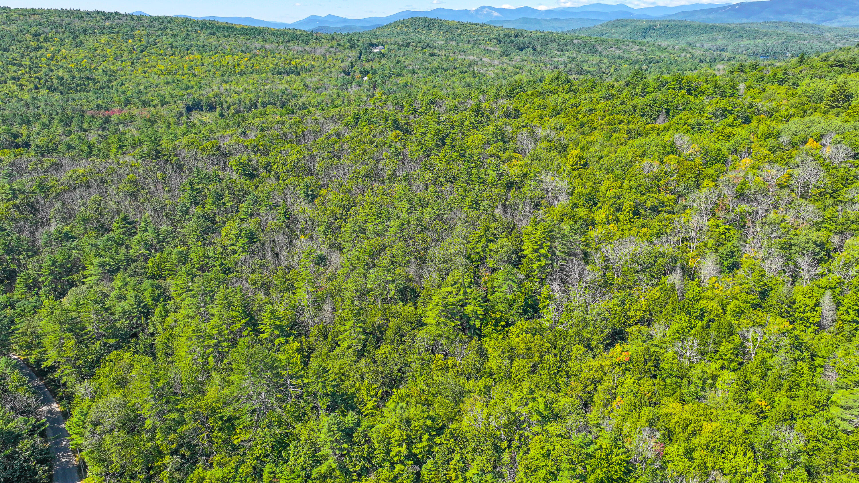 32 Mcallister Road Stoneham, ME 04231 - Photo 3 of 14 mcallister road land stoneham-58