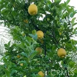 $4,390 | 1320 3 Ranch Road, Duarte, CA 91010