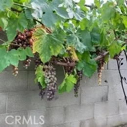 $4,390 | 1320 3 Ranch Road, Duarte, CA 91010