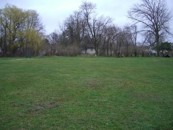 a view of a field of trees