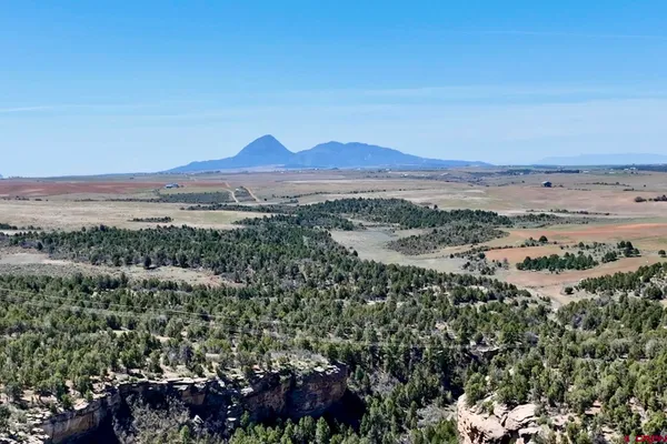 $2,950,000 | 16 Road 16, Pleasant View, CO 81331