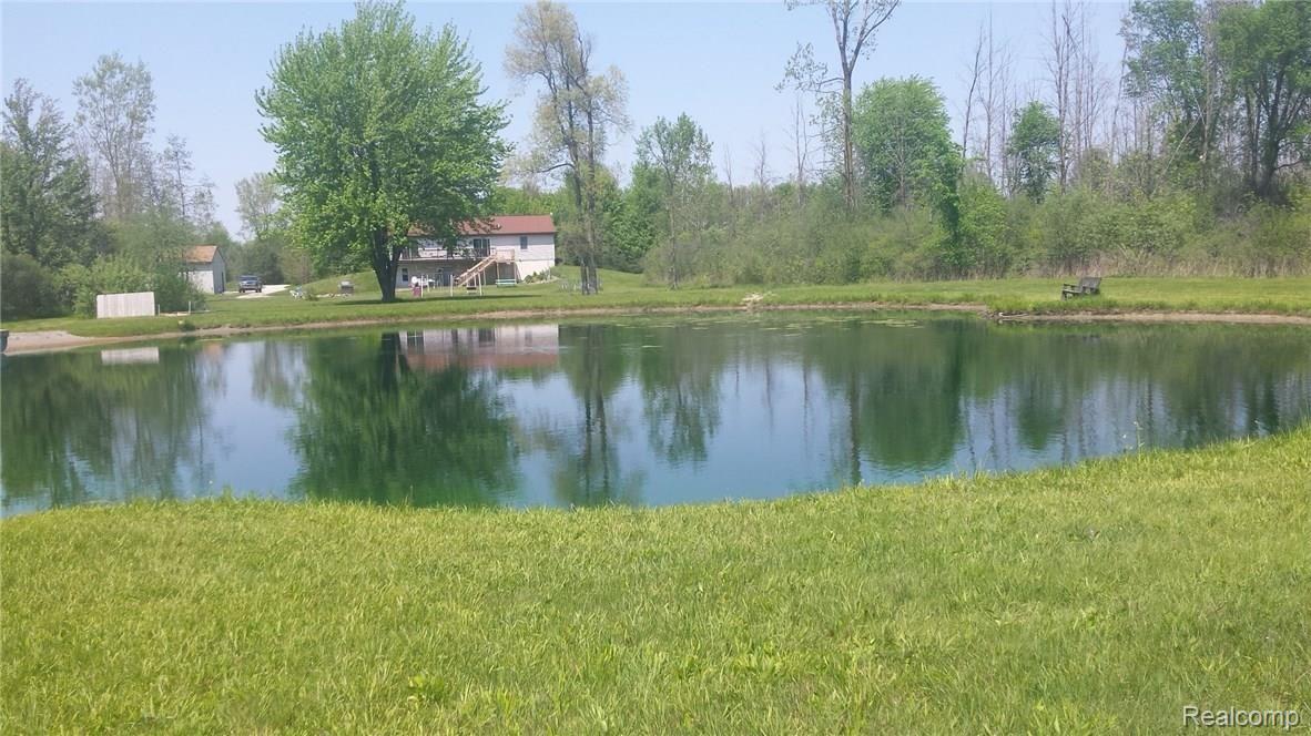 11445 Norman Road Yale, MI 48097 - Photo 20 of 32 This is another view of the pond.