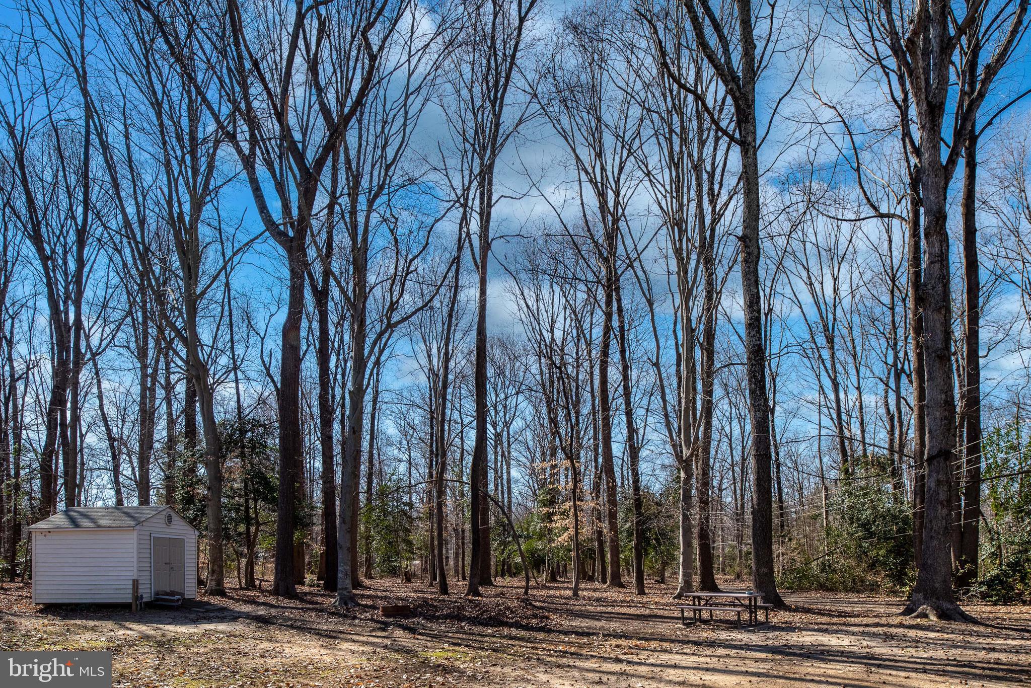 8286 Indiantown Road King George, VA 22485 - Photo 49 of 59 Gallery Image 49