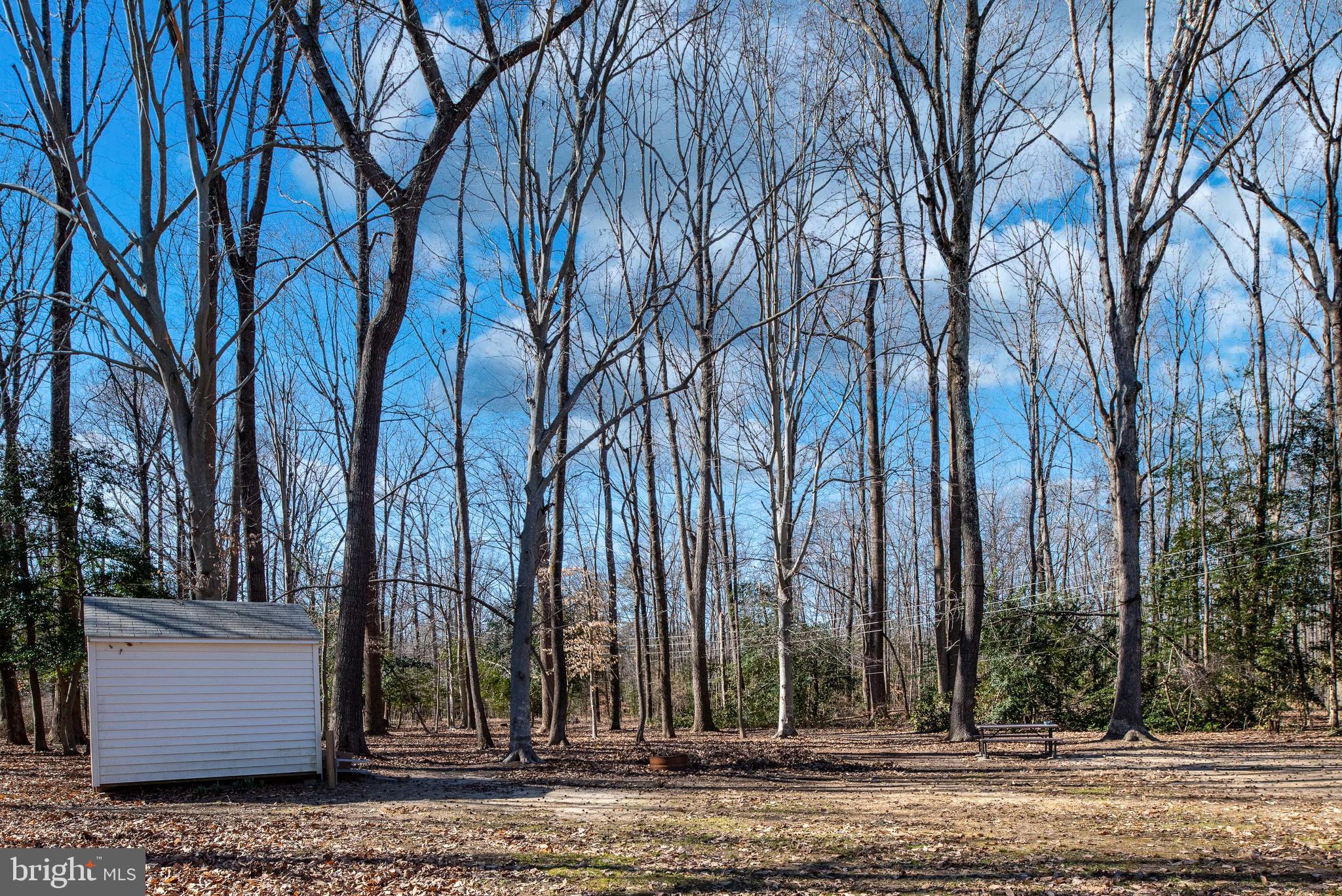 8286 Indiantown Road King George, VA 22485 - Photo 50 of 59 Gallery Image 50