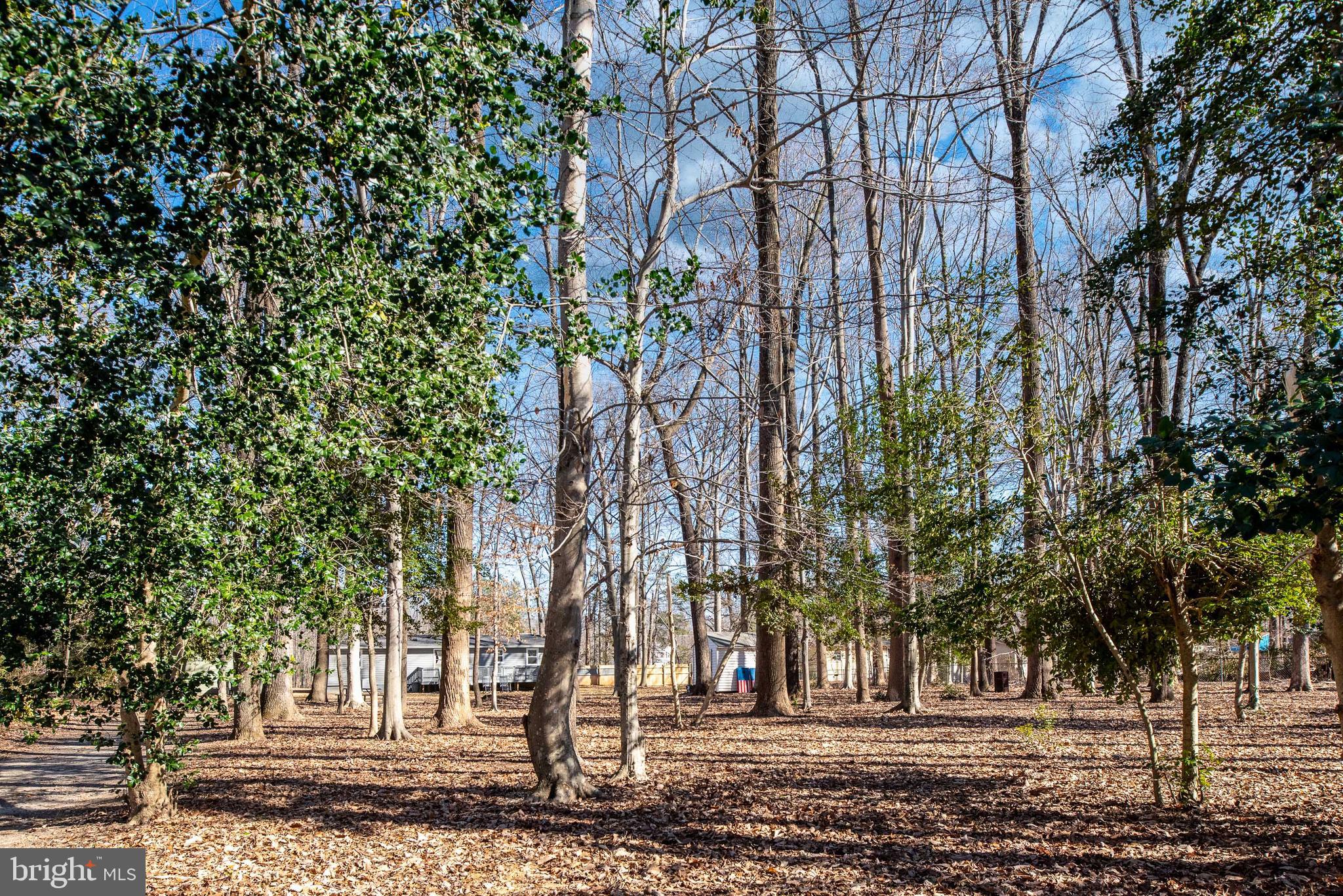 8286 Indiantown Road King George, VA 22485 - Photo 53 of 59 Gallery Image 53