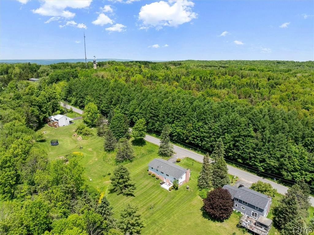 178 Brown Road Schuyler, NY 13502 - Photo 29 of 45