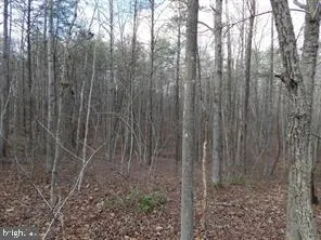 $200,000 | Blair Road, Orange, VA 22960