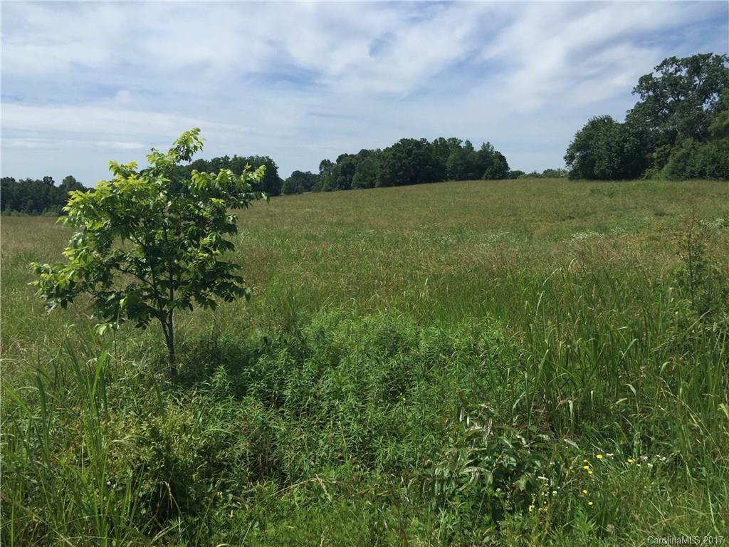0 A A Wilson Road Columbus, NC 28722 - Photo 2 of 2