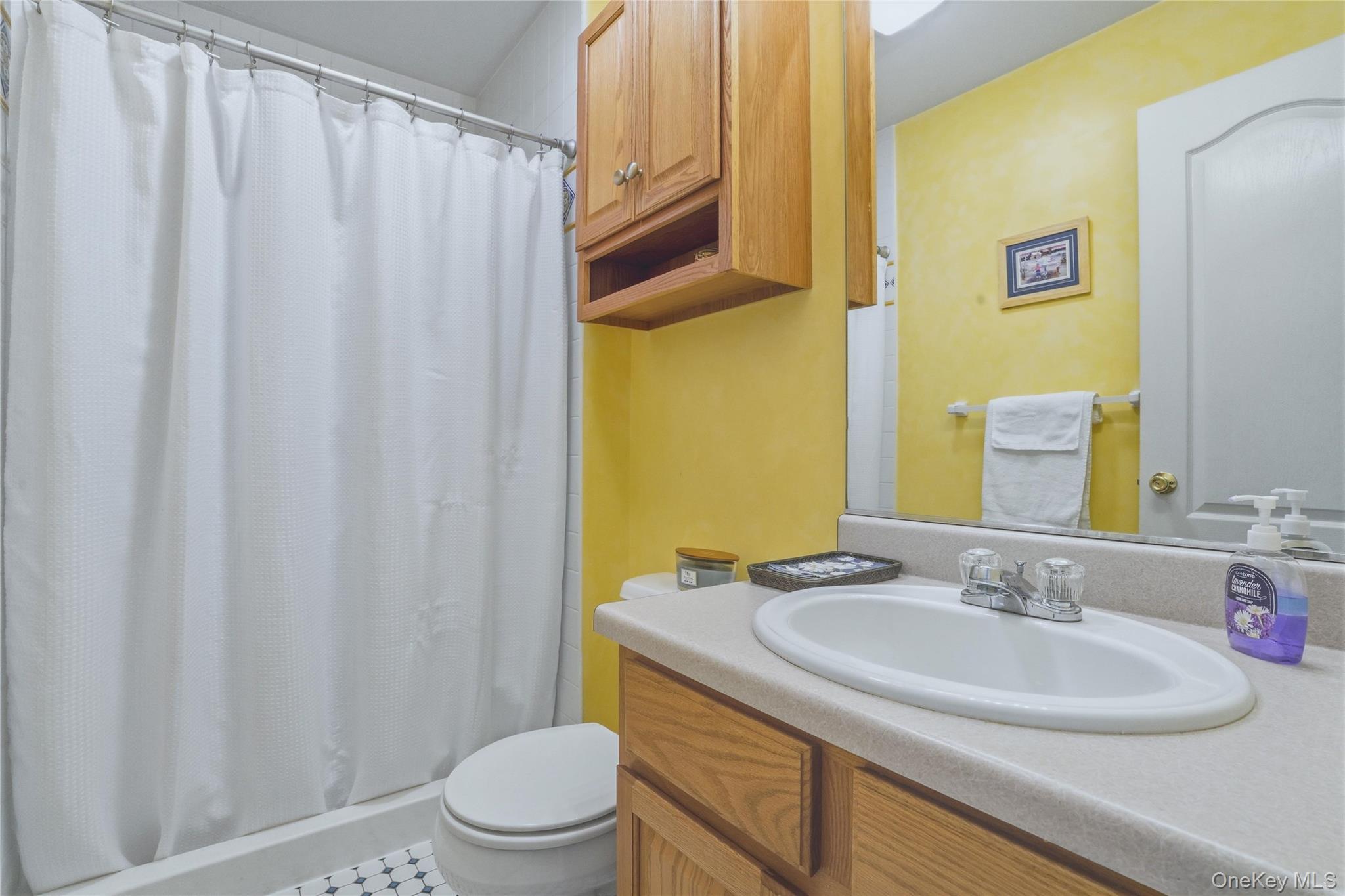2 Windsor Lane Cornwall, NY 12518 - Photo 23 of 50 a bathroom with a sink toilet and a mirror