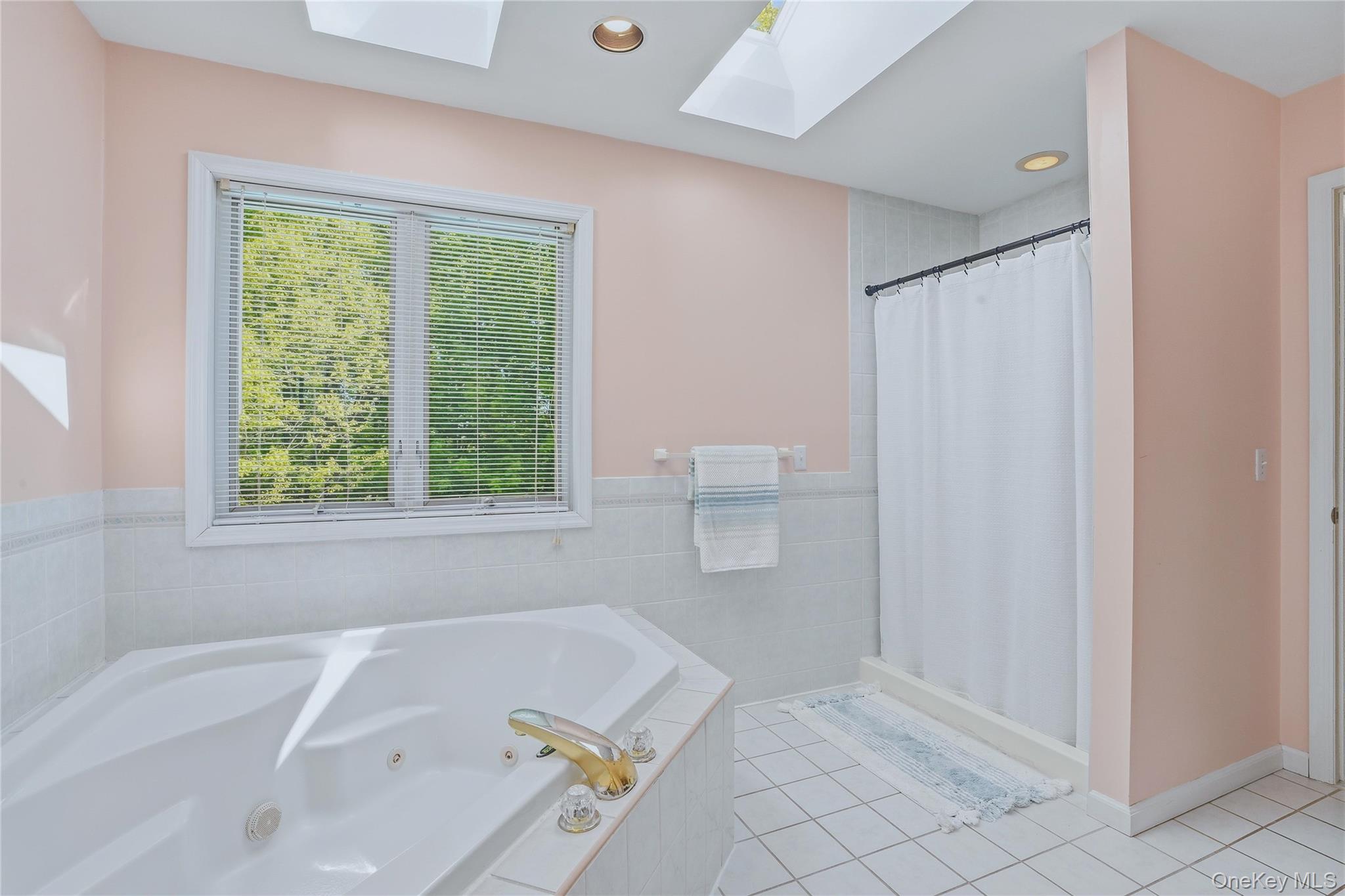 2 Windsor Lane Cornwall, NY 12518 - Photo 30 of 50 Jacuzzi soaking tub and tiled shower.