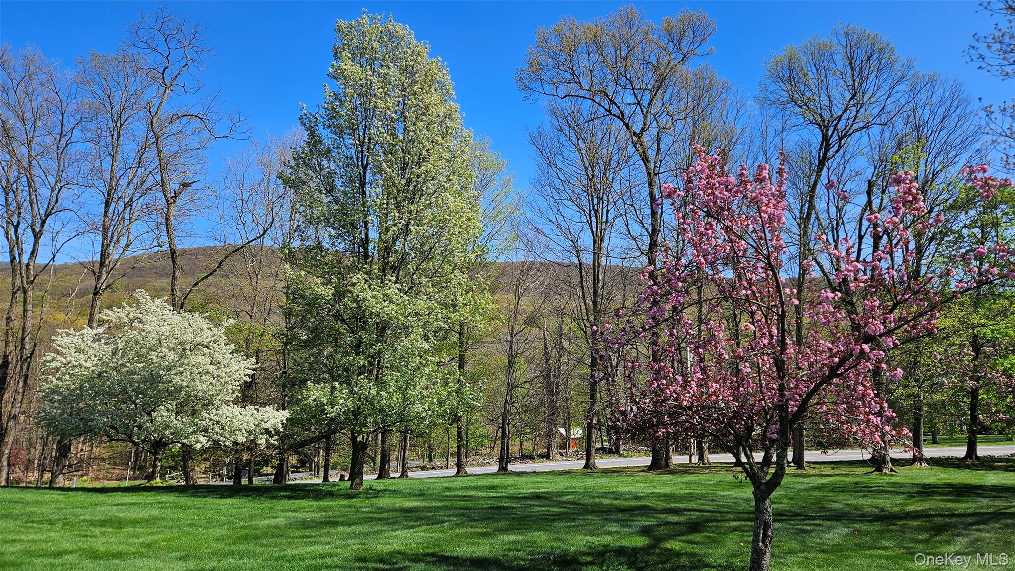 2 Windsor Lane Cornwall, NY 12518 - Photo 6 of 50 a view of a park with large trees