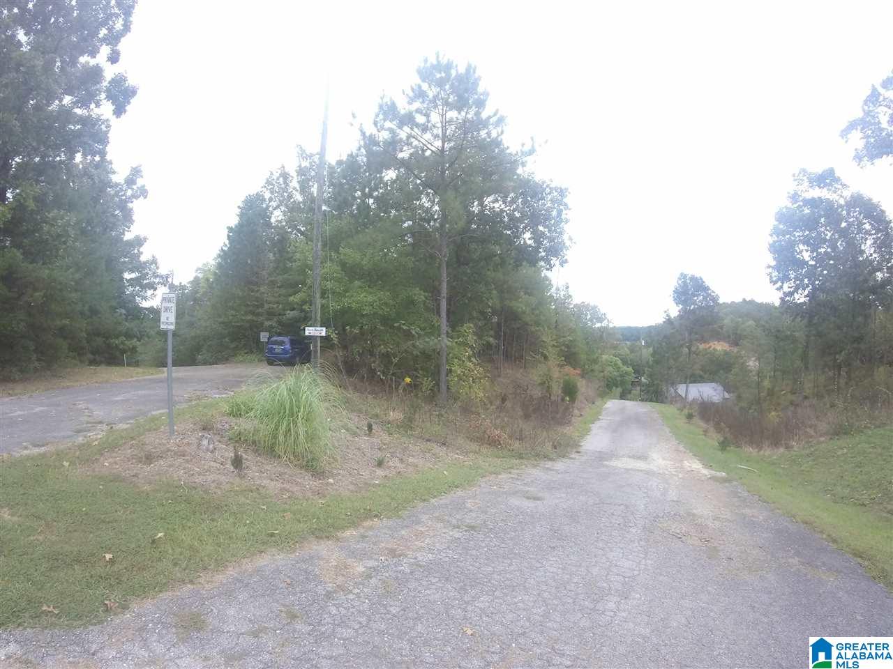 919 County Road, Unit 63 Clanton, AL 35046 - Photo 3 of 16 Gallery Image 3