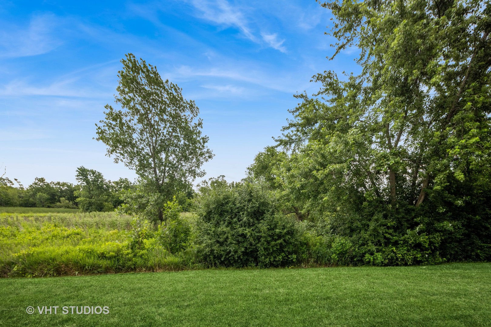 8291 Ripple Ridge, Unit 8291 Darien, IL 60561 - Photo 3 of 23 a view of a yard with a tree