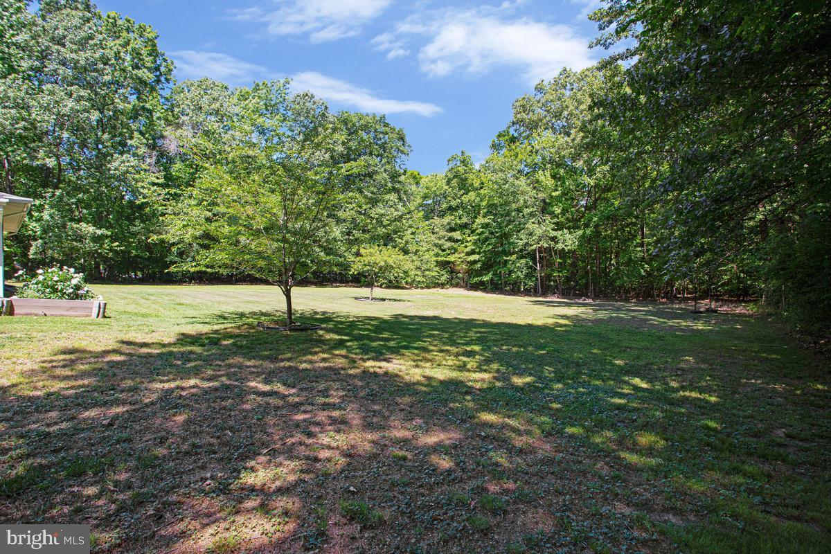 6600 Ashland Road La Plata, MD 20646 - Photo 39 of 40 a view of a green field with trees
