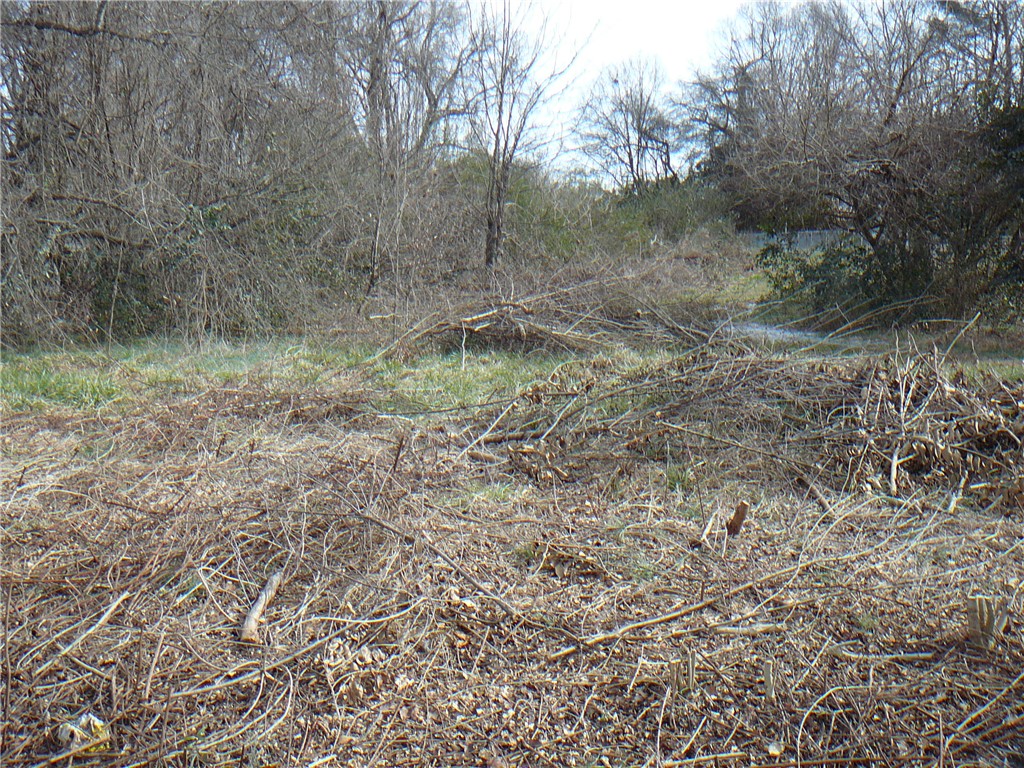 27 Harris Street Anderson, SC 29624 - Photo 4 of 4