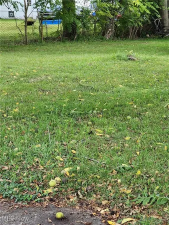 $6,000 | Clara Avenue, Akron, OH 44306