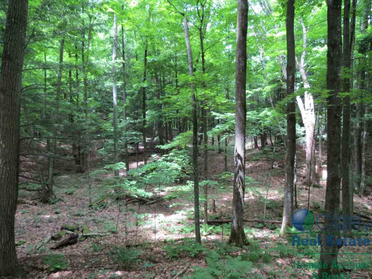 O County Rd I Iola, WI 54945 - Photo 1 of 1