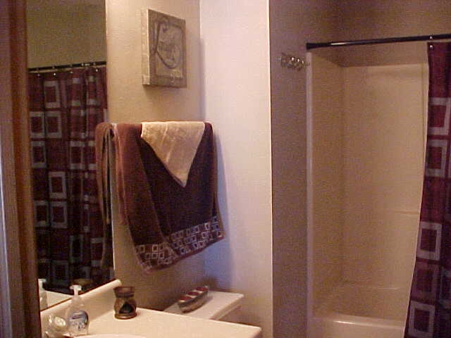 765 Bayfield Road Rockton, IL 61073 - Photo 11 of 18 a bathroom with a shower and a mirror