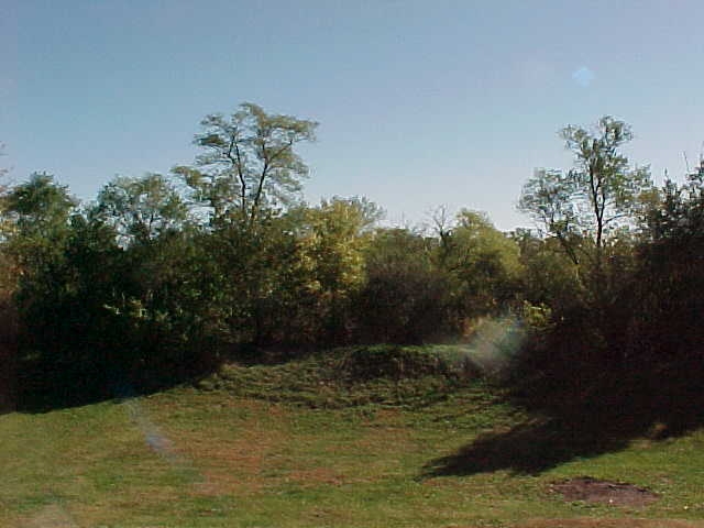 765 Bayfield Road Rockton, IL 61073 - Photo 17 of 18 a view of a garden