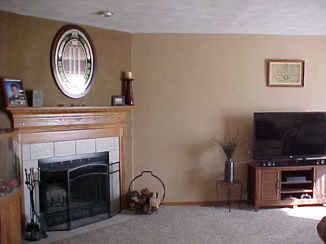 765 Bayfield Road Rockton, IL 61073 - Photo 2 of 18 a view of livingroom with furniture and a fireplace