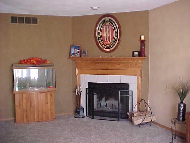 765 Bayfield Road Rockton, IL 61073 - Photo 3 of 18 a view of a fireplace with a clock on wall