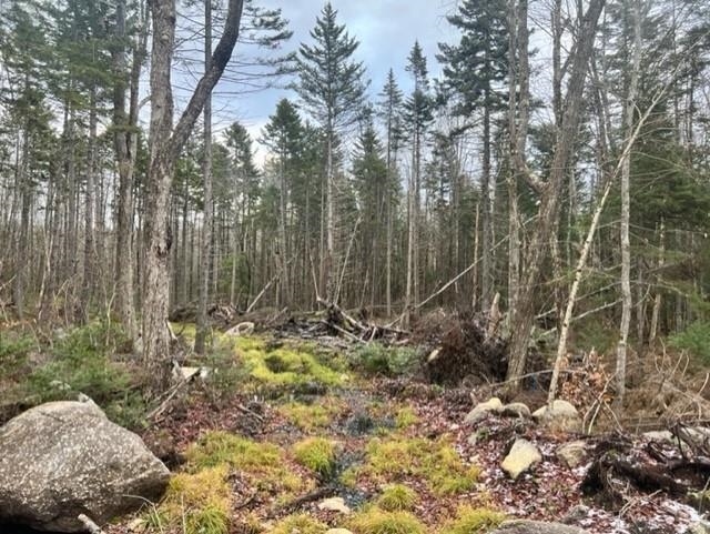 16 Grant Road Washington, NH 03280 - Photo 1 of 12 Gallery Image 1
