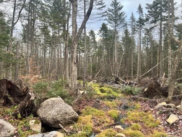 16 Grant Road Washington, NH 03280 - Photo 5 of 12 Gallery Image 5
