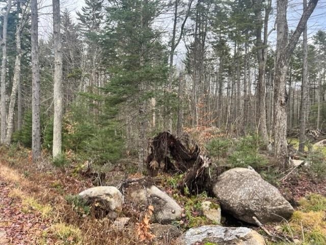 16 Grant Road Washington, NH 03280 - Photo 6 of 12 Gallery Image 6